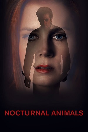 Download Nocturnal Animals (2016) BluRay [Hindi + English] ESub 480p 720p