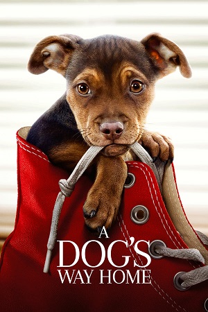 Download A Dog's Way Home (2019) BluRay [Hindi + English] ESub 480p 720p