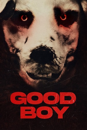 Download Good Boy (2022) BluRay [Hindi + Tamil + Telugu + Norwegian] ESub 480p 720p