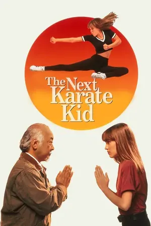 Download The Next Karate Kid Part 4 (1994) BluRay [Hindi + Tamil + Telugu + English] ESub 480p 720p