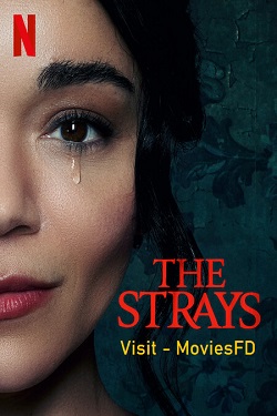 Download - The Strays (2023) WebRip [Hindi + Tamil + Telugu + English] ESub 480p 720p 1080p